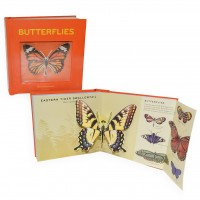 «Коллекция бабочек и забавных фактов» книга-панорама на английском. Дэвид Хокок