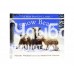 «Снежные медвежата» мини книга-панорама на английском. Мартин Уодделл,Сара Фокс-Дэйвис