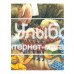 «Стойкий оловянный солдатик» книга на русском. Андерсен Ханс Кристиан, Линч Патрик Джеймс