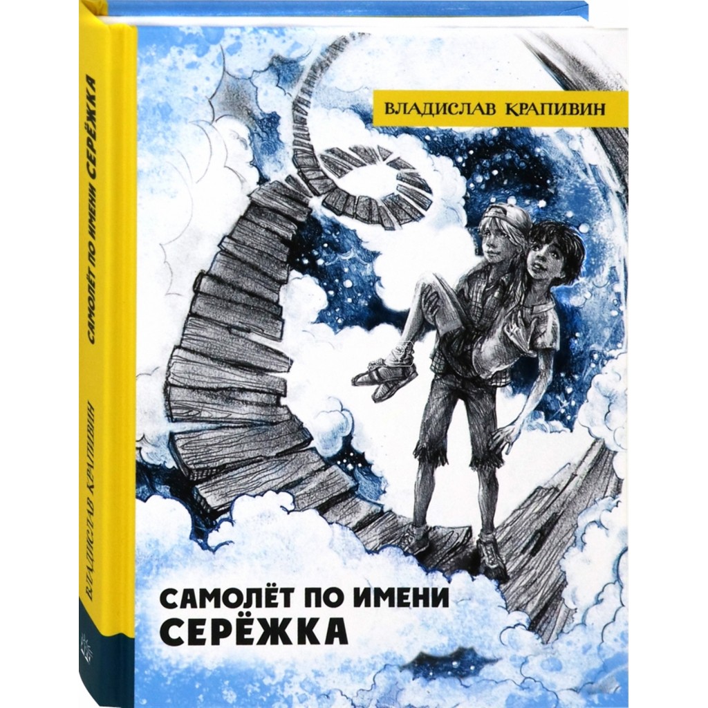 Самолет сереж. Самолёт по имени серёжка книга.