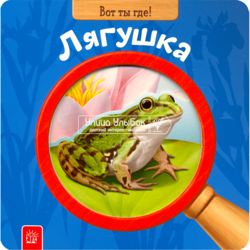 «Вот ты где! Лягушка» книжка-картонка на русском. Ко Йосун