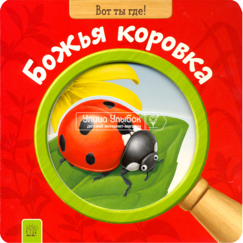 «Вот ты где! Божья коровка» книжка-картонка на русском. Ко Йосун