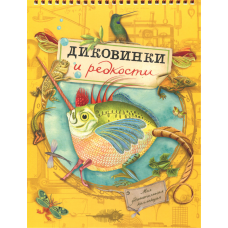 «Моя удивительная коллекция. Диковинки и редкости. Моя удивительная коллекция» раскраска на русском. Симлер Изабель