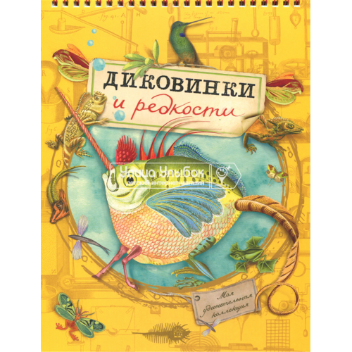 «Моя удивительная коллекция. Диковинки и редкости. Моя удивительная коллекция» раскраска на русском. Симлер Изабель