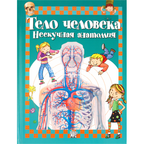 «Тело человека. Нескучная анатомия» книга на русском. Родригес-Вида Алехо, Регаладо Густаво